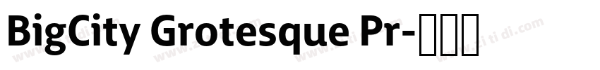 BigCity Grotesque Pr字体转换 BigCity Grotesque Pr字体转换